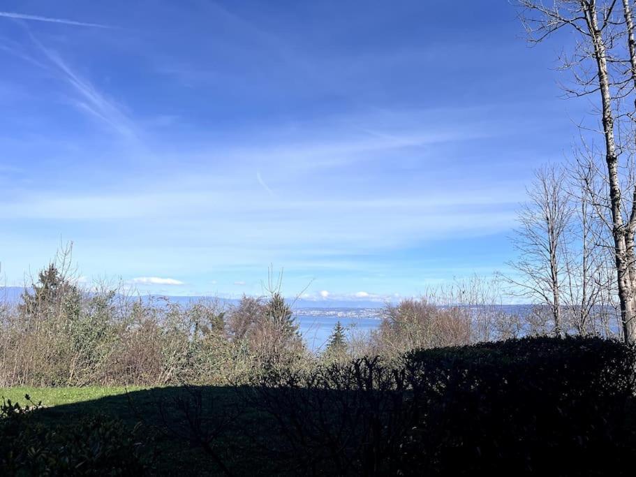 Lugrin Proche Du Lac Et Montagne Kültér fotó
