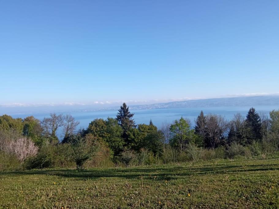 Lugrin Proche Du Lac Et Montagne Kültér fotó