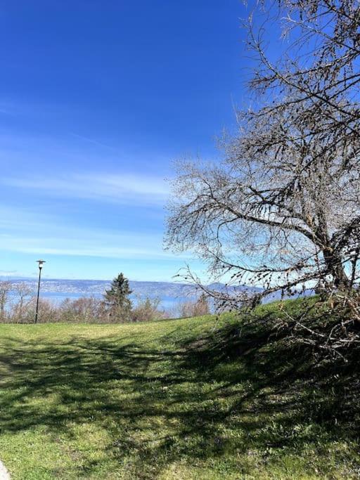 Lugrin Proche Du Lac Et Montagne Kültér fotó